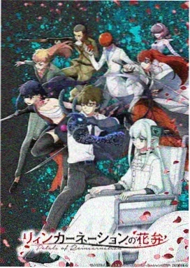 星灵守护者